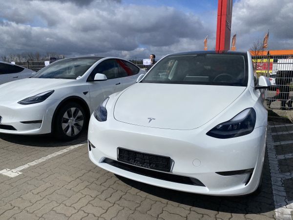 Tesla Model Y RWD