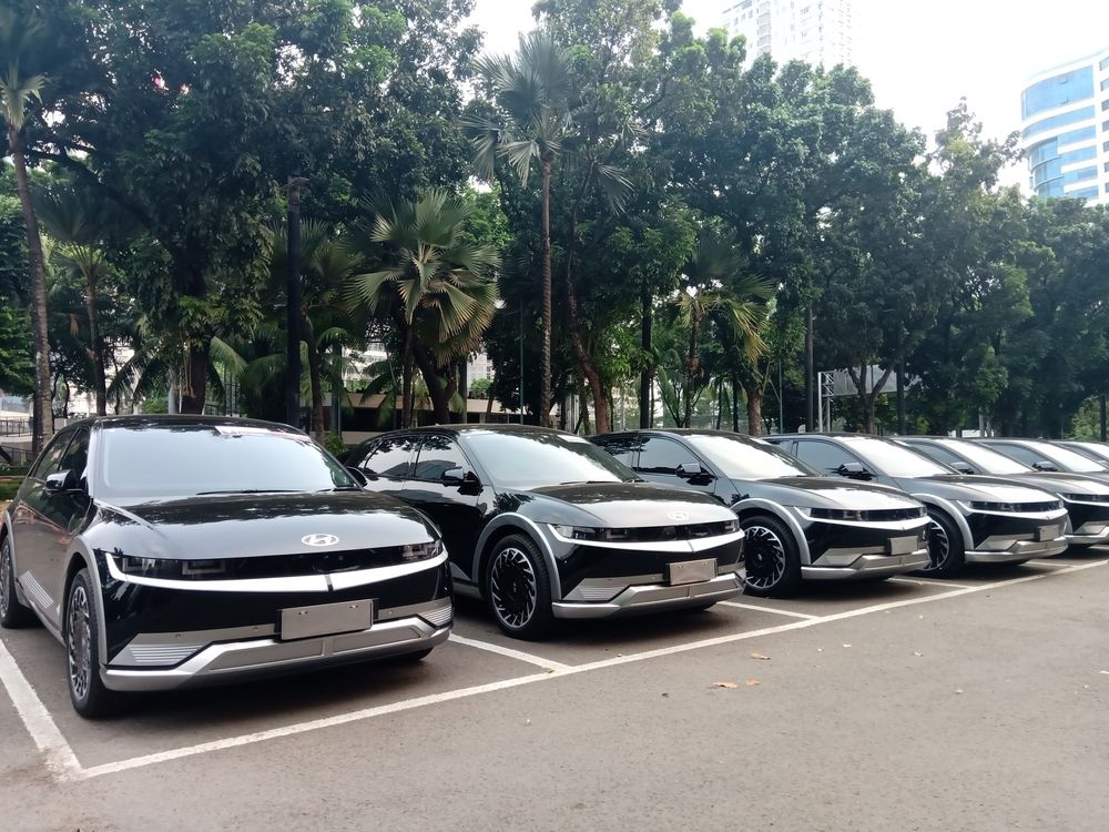 Fot. Gina Rhy / Shutterstock.com