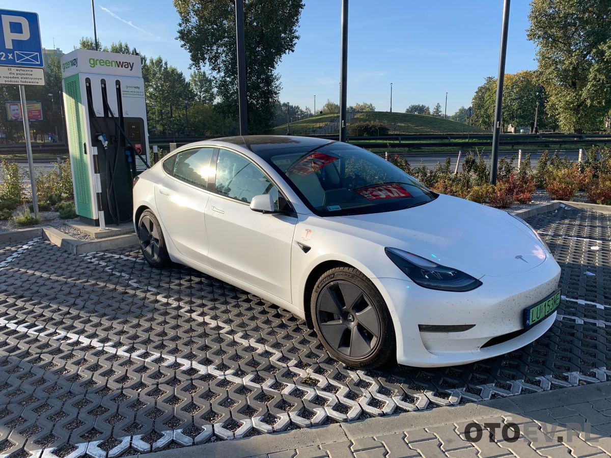 Sentry Mode zmienia zasady. Tesla Y i 3 najrzadziej padają łupem złodziei. - zdjęcie główne