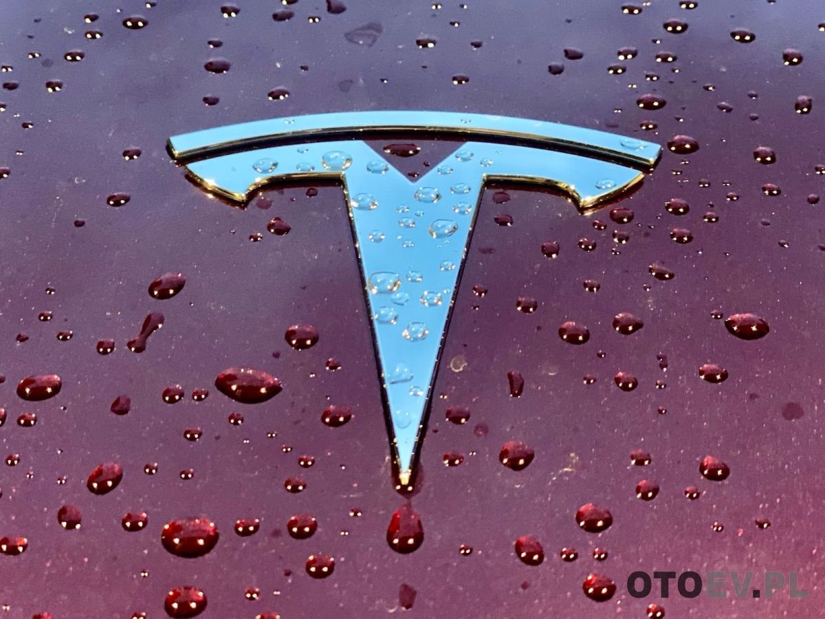 Model Y nigdy nie był tak tani... Tesla obniża ceny, po raz kolejny! - zdjęcie główne