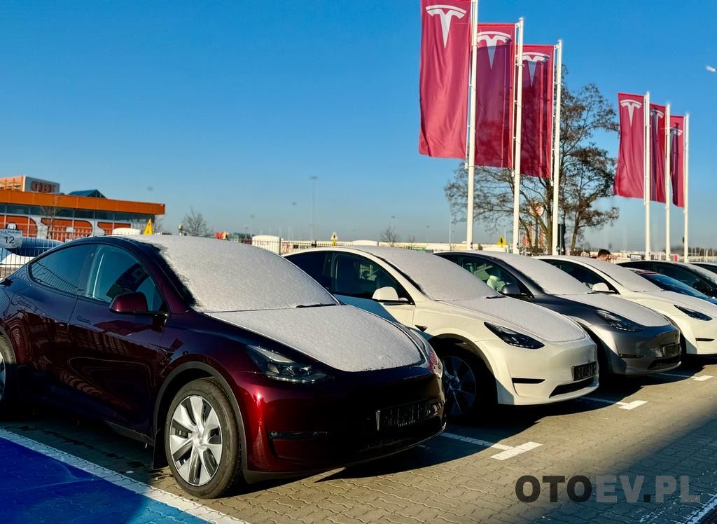 Tesla obniża ceny Modelu Y - zdjęcie główne
