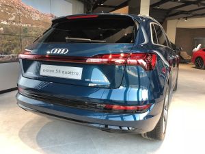 Zdjęcie Audi e-tron 55 quattro