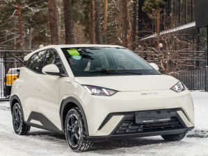 Zdjęcie BYD SEAGULL 30 kWh