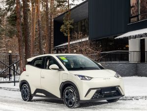 Zdjęcie BYD SEAGULL 30 kWh